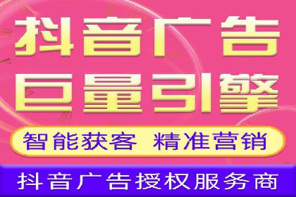 专业sem托管服务案例，揭秘广告投放优化策略